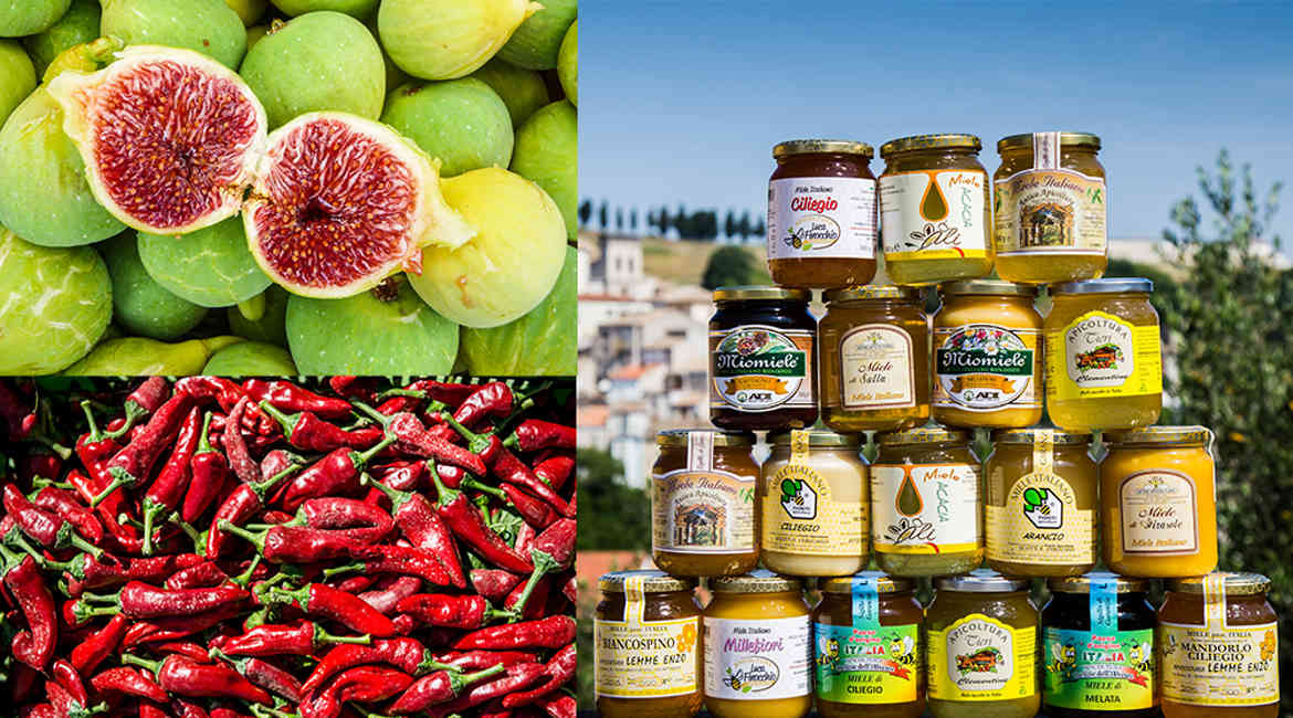Miele Frutta Peperone Bcc Abruzzi E Molise